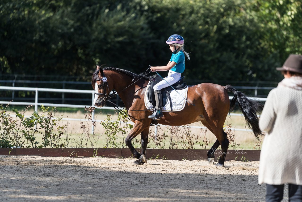 Bild 16 - Pony Akademie Turnier